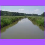 River 2.jpg